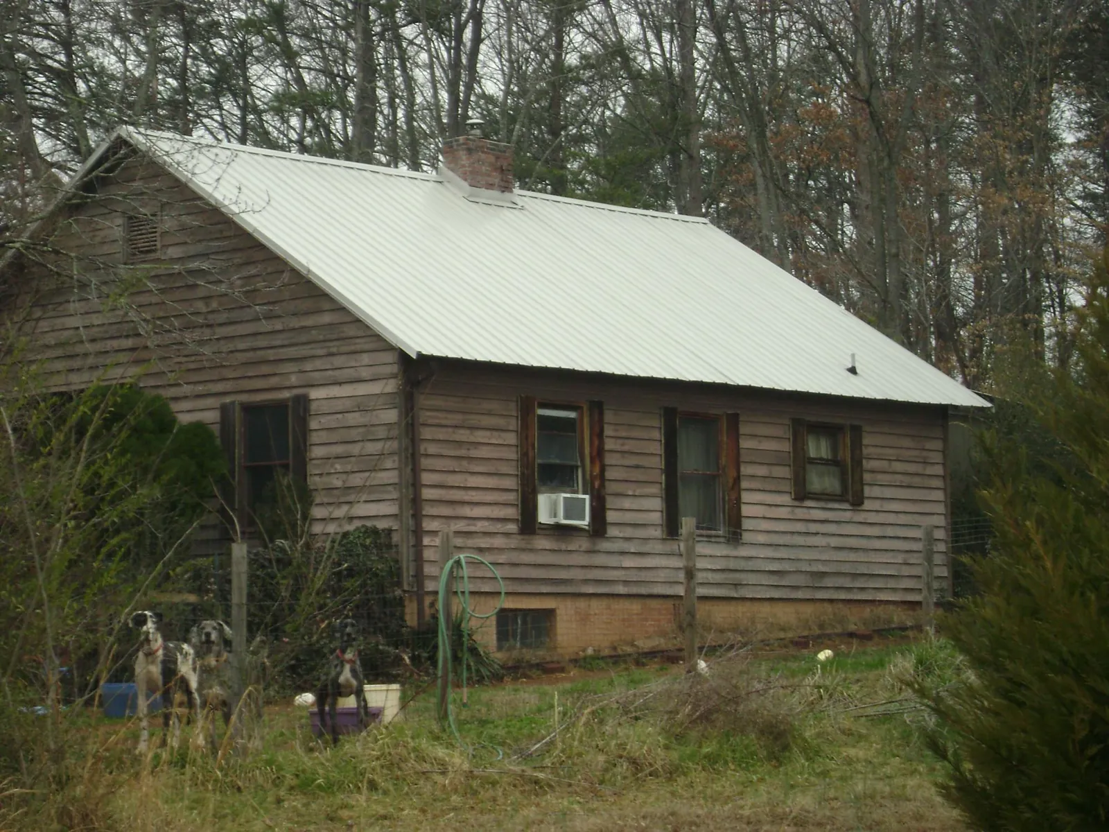 White metal roof on an old wood sided farmhouse, from a Asphalt Shingle Roof Repair job in Kooskia